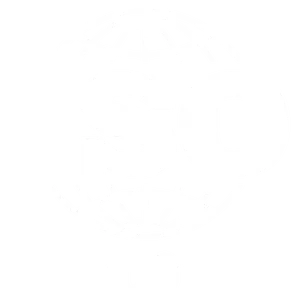 Sello ISO 9001: certificación internacional en ISO 9001:2015 y Auditor Interno ISO 9001:2015